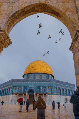 dome of the rock flock of birds flying over green and gold dome building during daytime dome of rock